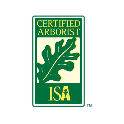 This is an emblem for "Certified Arborist" with a green oak leaf, outlined in yellow and green, with the letters "ISA" at the bottom, against a green background.