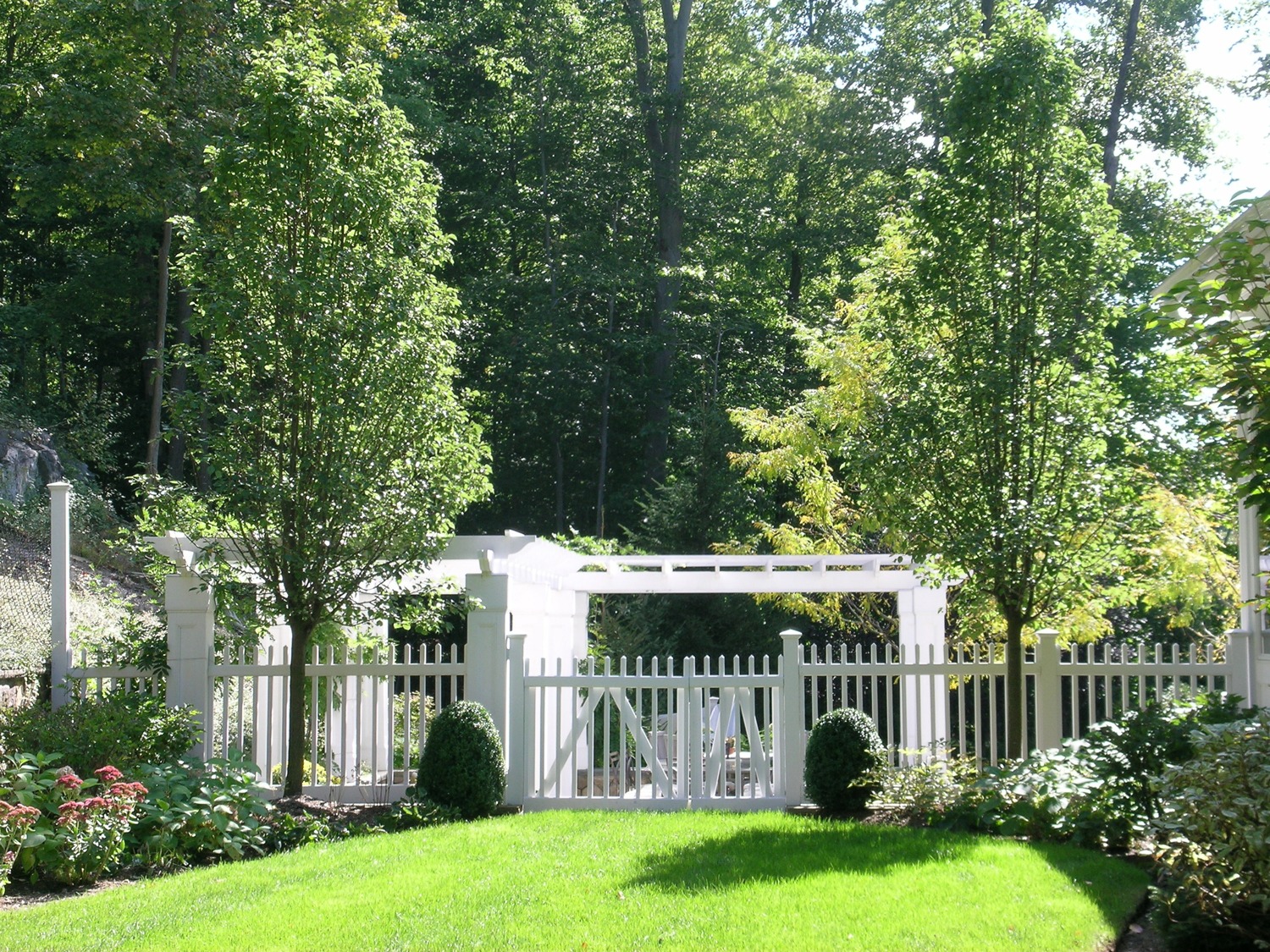 A lush green garden with a white picket fence and gate, flanked by neatly trimmed bushes and mature trees under a clear, sunny sky.