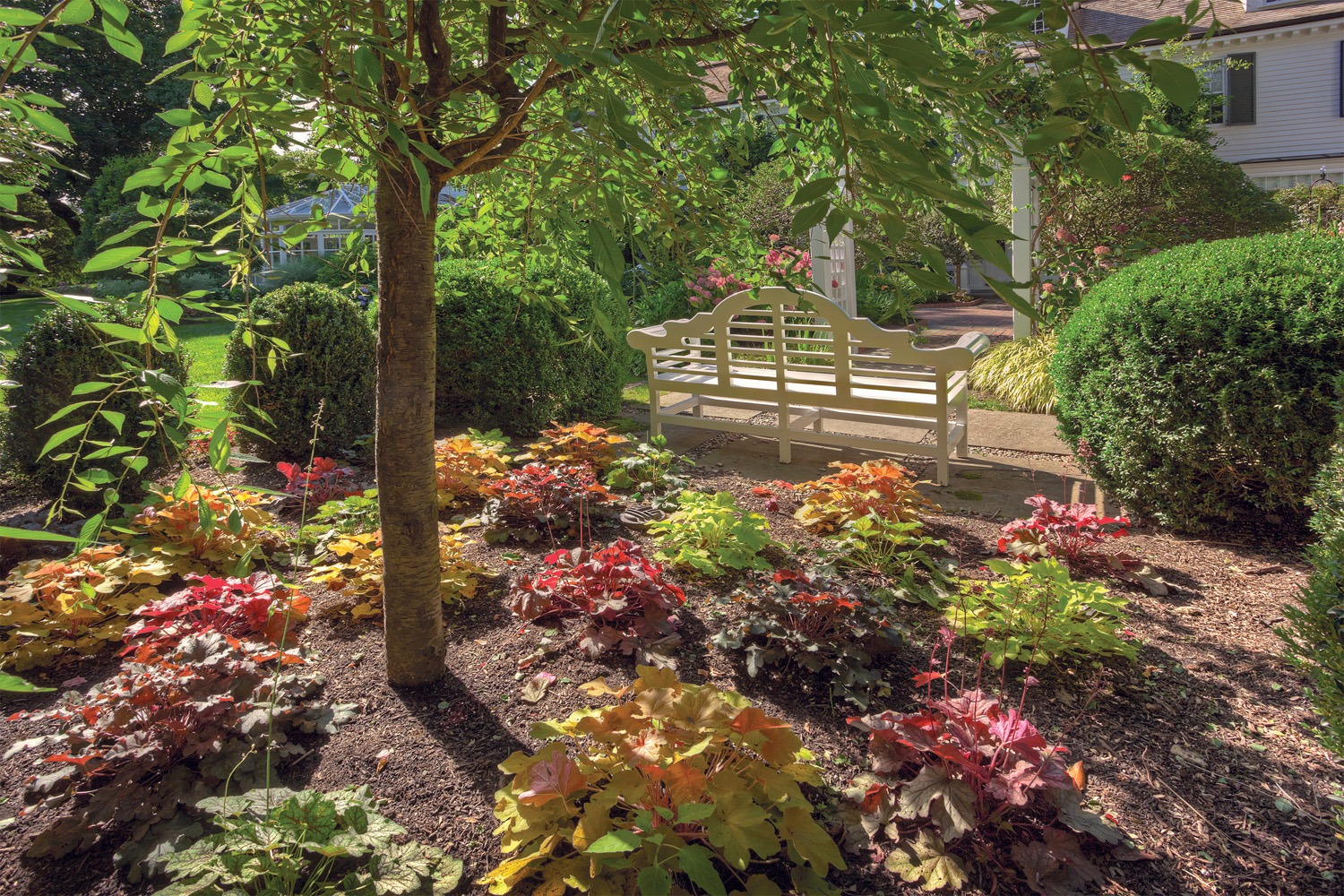 A serene garden with a wooden bench under a tree, surrounded by colorful plants and manicured green shrubs, with a residential home in the background.