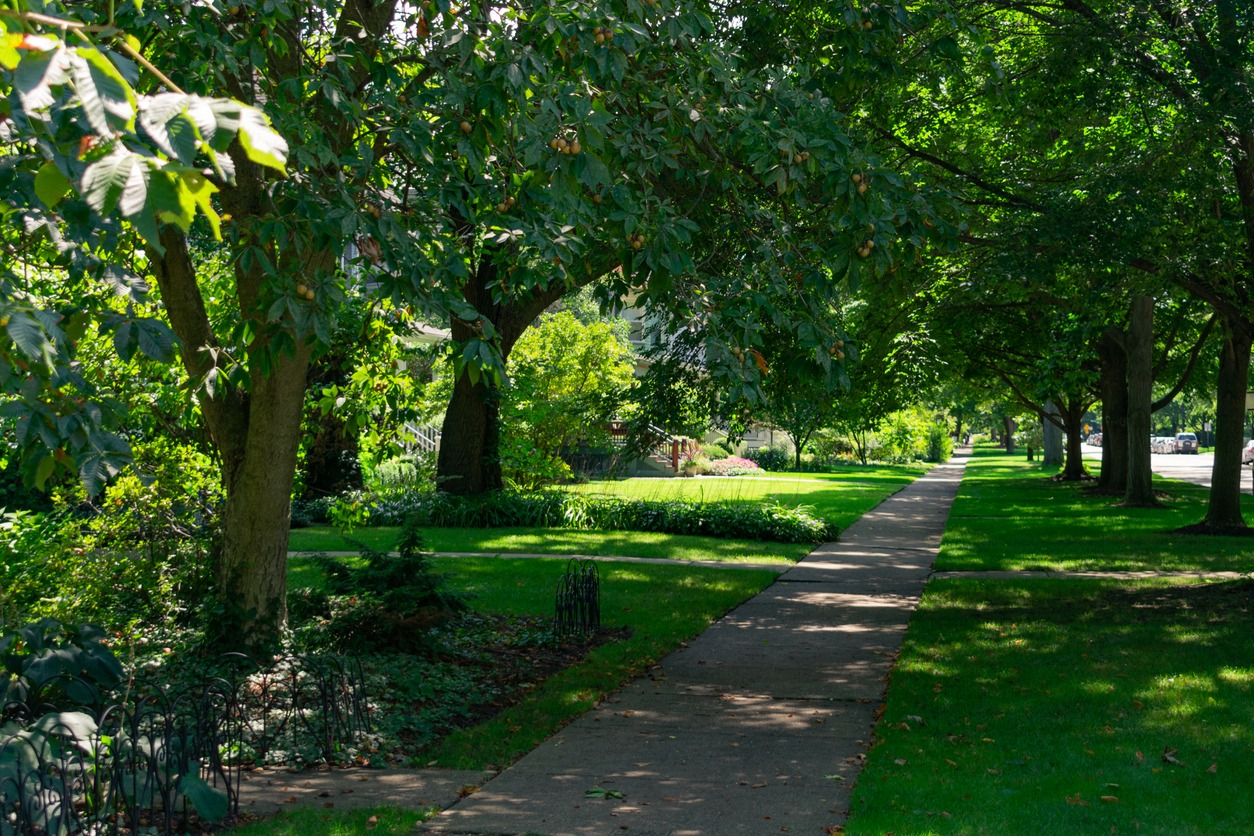 A peaceful pedestrian pathway flanked by lush, green trees and well-maintained grass under a clear, sunny sky in a serene residential area.