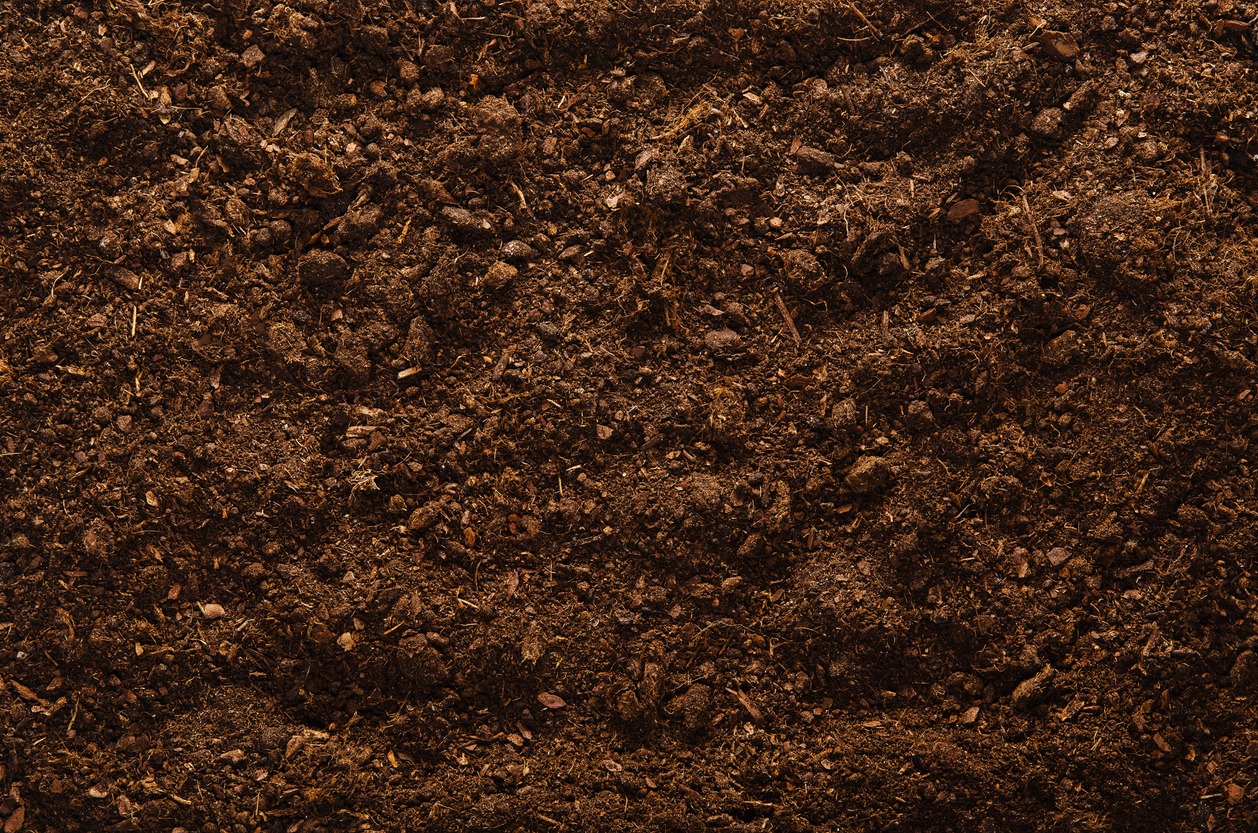 This is a close-up image of dark brown soil with visible organic matter, indicating a fertile texture suitable for planting and gardening activities.