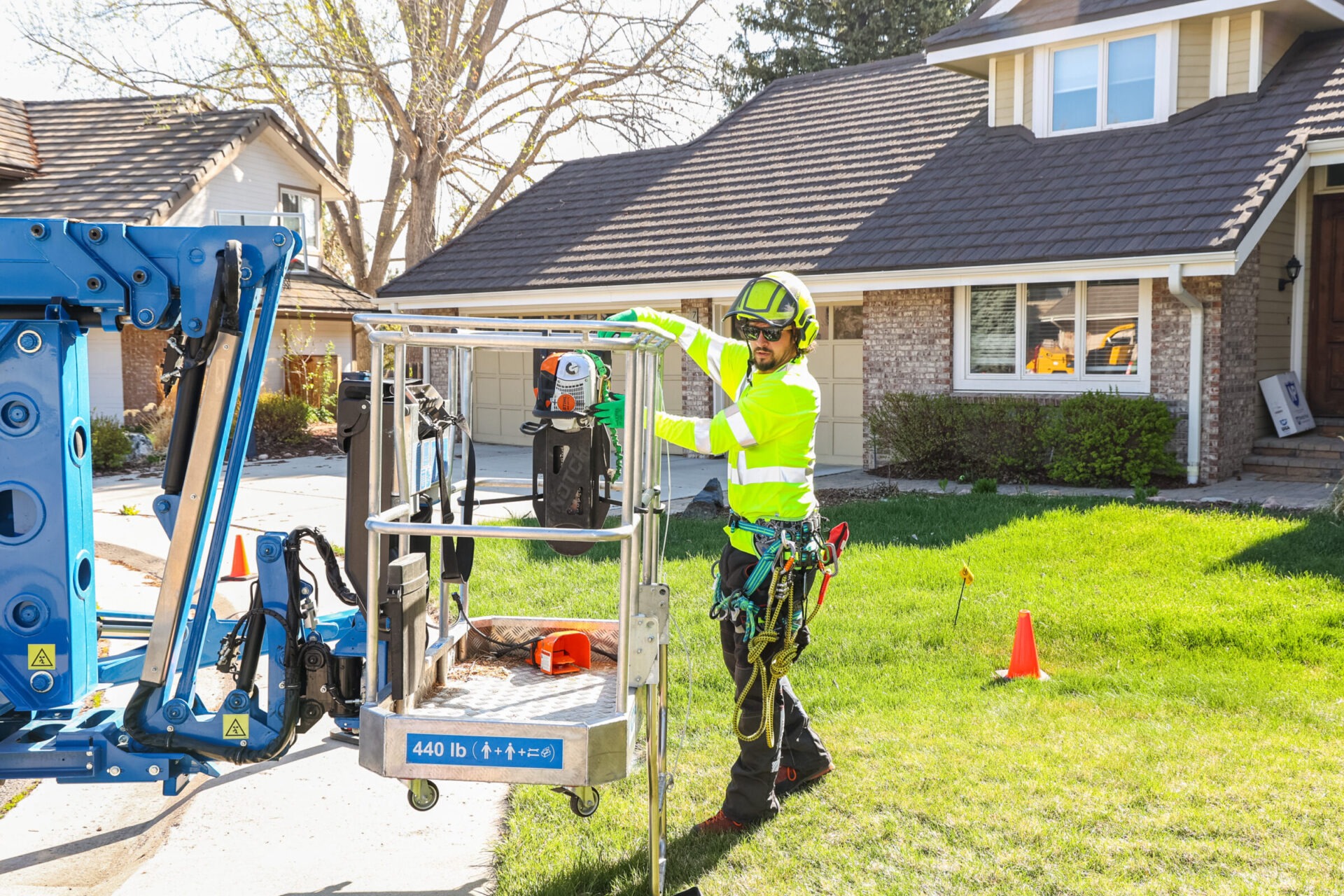 Arbor Care Specialists