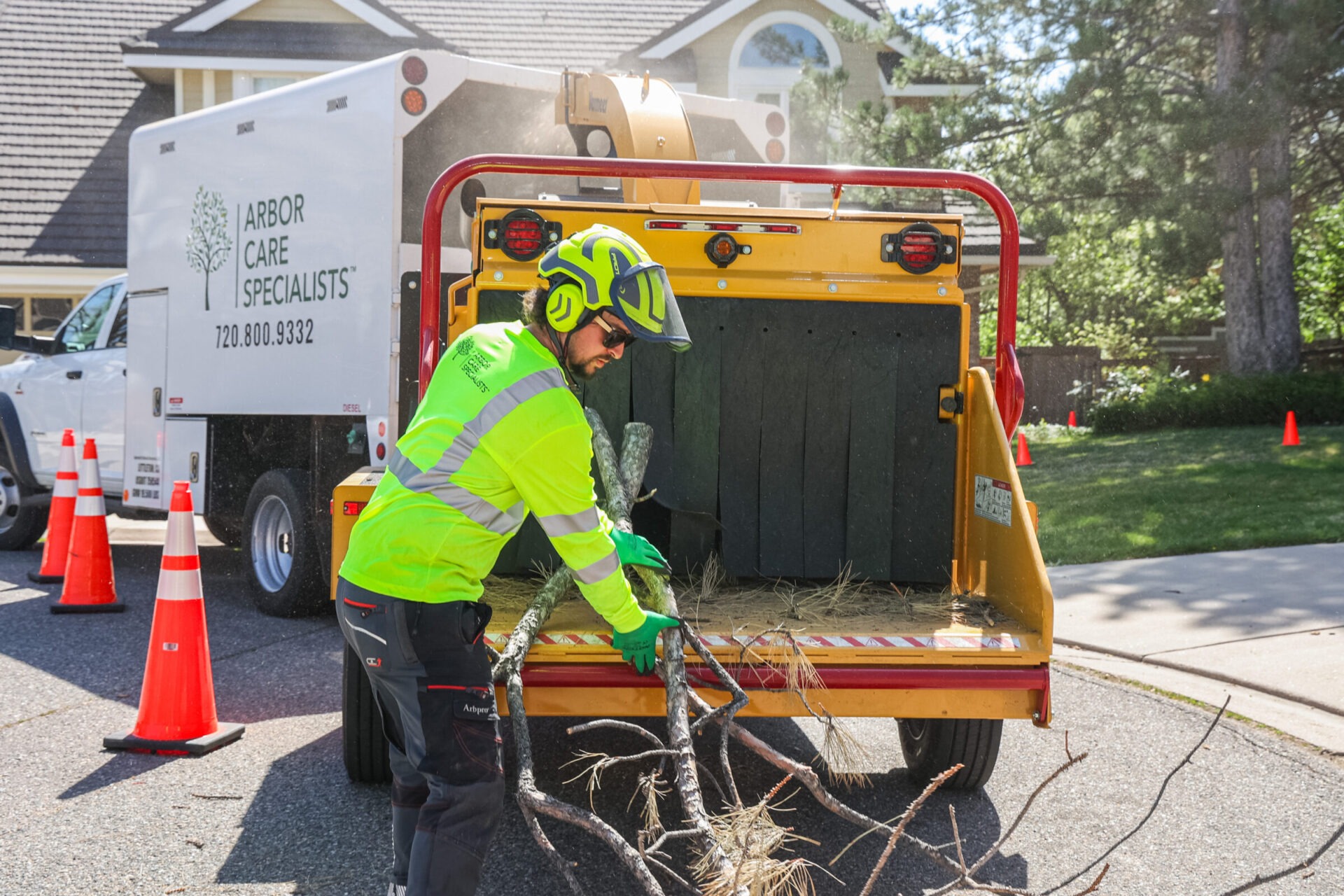 Arbor Care Specialists